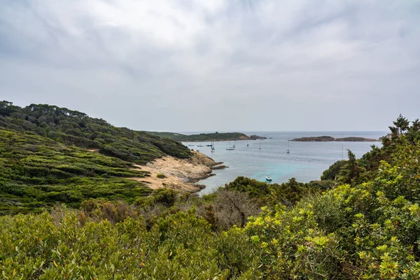 Isola Porquerolles Una Delle Più Belle Isole Della Francia — Foto Stock