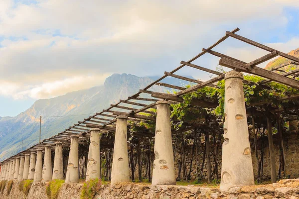 Carema Piedmont, İtalya için üzüm bağları tipik tarım mimarisi Telifsiz Stok Fotoğraflar