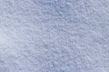 Güneşli bir günde kar doku