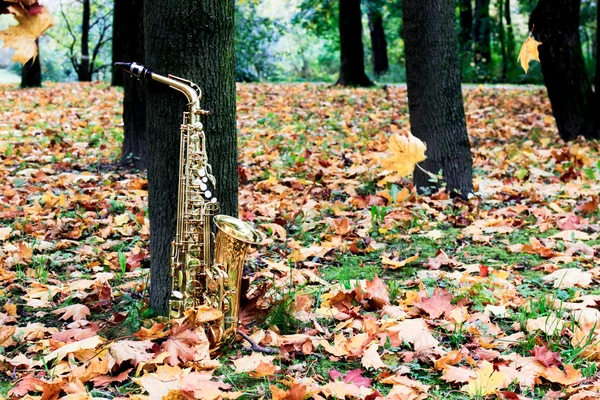 Saksofon altowy jesienią Park — Zdjęcie stockowe