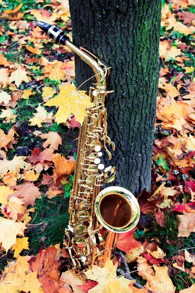 Alto saxophone in autumn Park — Stock Photo, Image