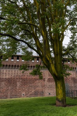 Sforza Kalesi Milano eski taş duvar ağaca