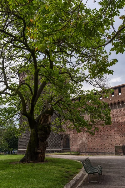 Die Bank unter einem Baum an der alten Mauer des Schlosses Sforza — Stockfoto