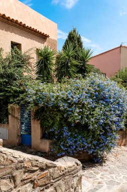 Collioure şehrinin caddesinde yeşilliklerle çevrili bir ev.