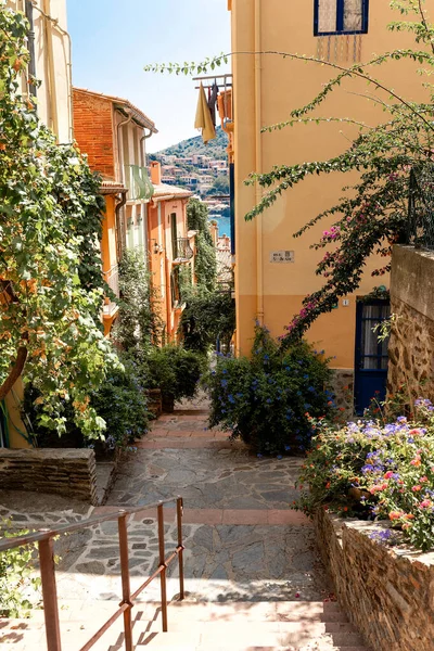 Fransa Collioure Şehrinin Eski Deniz Aşırı Caddesi Telifsiz Stok Fotoğraflar