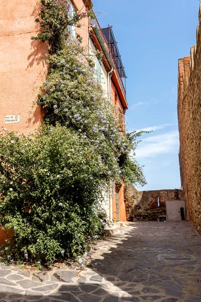 Una Casa Decorata Con Fiori Nella Città Collioure Francia Foto Stock