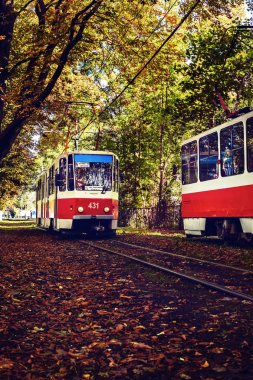 Tramvay ile sonbahar alle rides