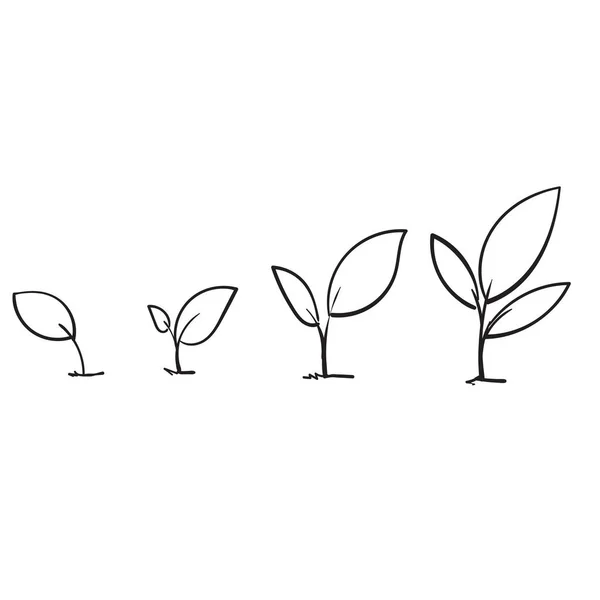 Linha de arte crescente broto planta com mão desenhado estilo doodle — Vetor de Stock