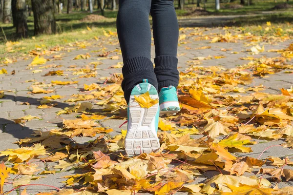 Güzel bir kız bir ince rakam siyah tayt ve parlak pembe ceket ile güneşli havalarda sonbahar parkta spor oynuyor.