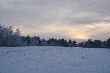 Kış manzarası. Bulutlu gün. Kış düşüş. 