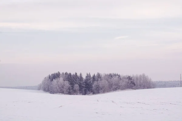 Vinterlandskap. Molnig dag. Vinter nedgång. — Stockfoto