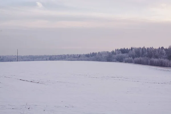 winter landscape. Cloudy day. Winter decline.