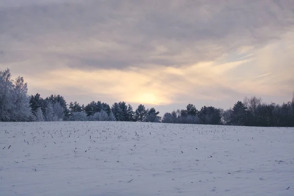 Kış manzarası. Bulutlu gün. Kış düşüş. — Stok fotoğraf