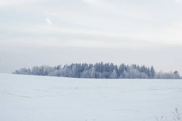 Kış manzarası. Bulutlu gün. Kış düşüş. 