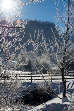 güzel kış dağlar manzara. Güneşli bir gün. Kış düşüş. Parlak renkler. Kış orman. Orman nehir. Hoarfrost şubeleri.