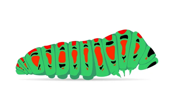 Zelená housenka s červené a černé skvrny na bílém pozadí stín. Chodící hmyz s nohama a oko — Stockový vektor