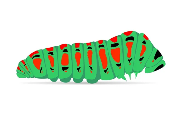 Bruco verde con macchie di ombra rosse e nere su sfondo bianco. Insetti che camminano con gambe e occhi — Vettoriale Stock