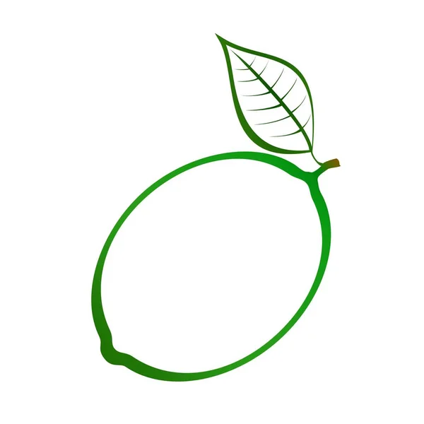 Kontur einer grünen Limette mit grünem Stiel und grünem Blatt auf weißem Hintergrund. reifer Sommer natürliche hausgemachte Früchte — Stockvektor