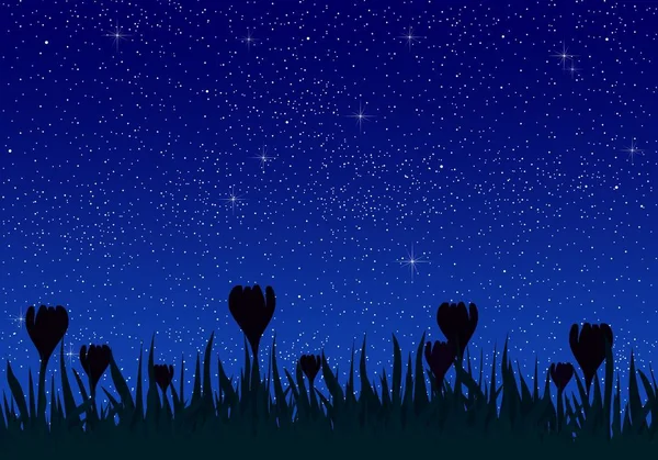 Summer night landscape with bright blue sky with glowing stars with grass and meadow flowers in the meadow. Beautiful romantic bright dark sky at night