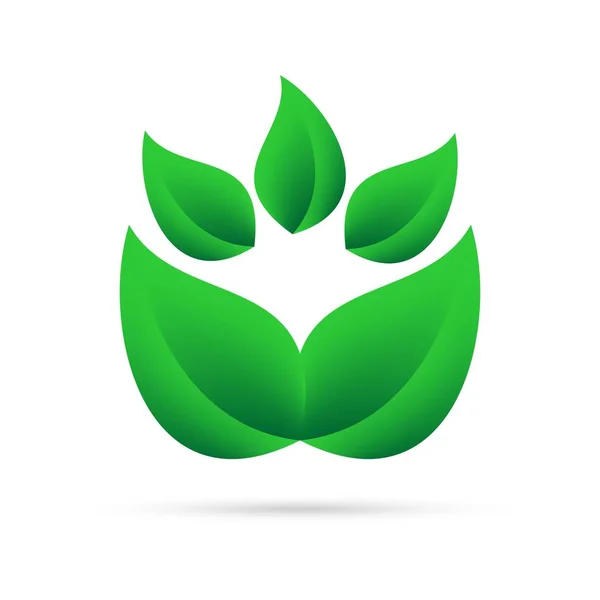 Eco Ícone Folhas Verdes Acima Mim Fundo Branco Com Sombra —  Vetores de Stock