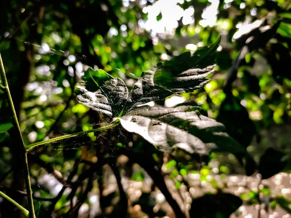 Luz e Sombras combinação perfeita . — Fotografia de Stock