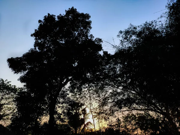 Sonnenuntergang ländliche Szene ein Sommertag. — Stockfoto