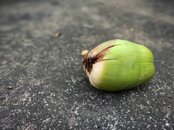Małe ujęcie makro kokosowe. — Zdjęcie stockowe