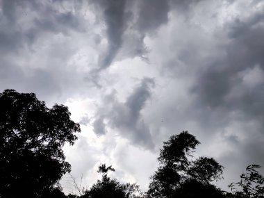 Öğleden sonra doğa güzelliği.