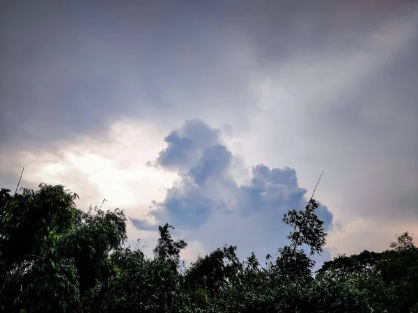 Asiatischer Bambusbaum Und Bewölkter Himmel Einem Sommernachmittag — Stockfoto