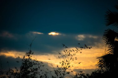 Hindistan 'daki akşamdan önce inanılmaz mavi ve sarı gökyüzü.