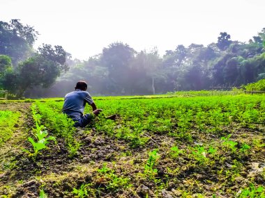 Bir çiftçi sabah uyanıp bahçeyle ilgilenir..
