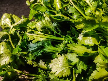 Bu, mutfaktaki yeşil kişniş yaprağı yakın plan fotoğrafı..