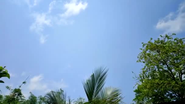 Jasne Niebo Zielone Drzewa Ciągu Dnia Indiach — Wideo stockowe