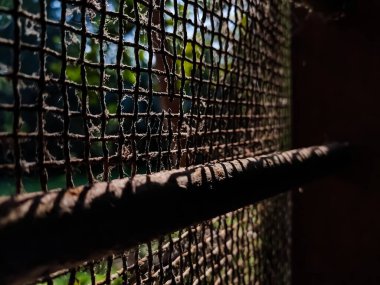 Sabah güneş ışığı paslanmış bir ağdan eve girdi..