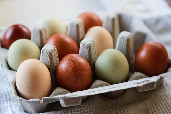 Renkli Bir Taze Çiftlik Yumurtası Koleksiyonu — Stok fotoğraf