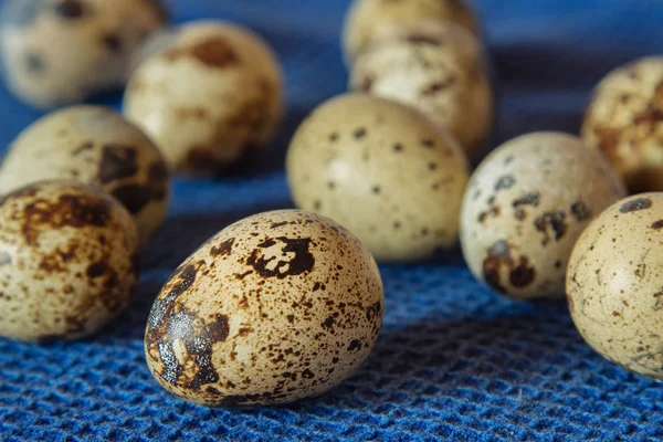 Bir Grup Taze Renkli Küçük Bıldırcın Yumurtası Mavi Bir Kumaş — Stok fotoğraf