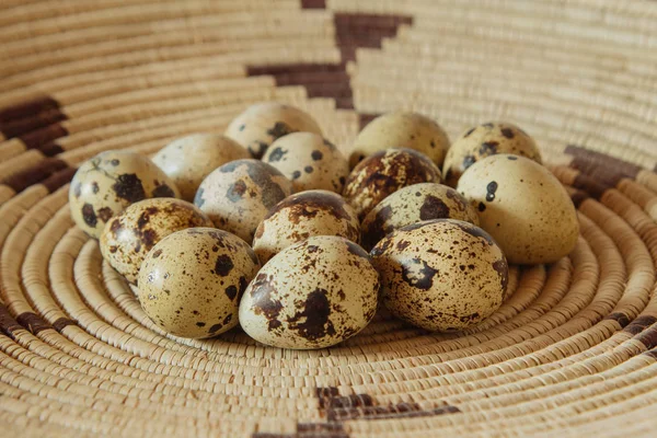 手織りのバスケットに新鮮でカラフルな小さなウズラの卵のグループ — ストック写真