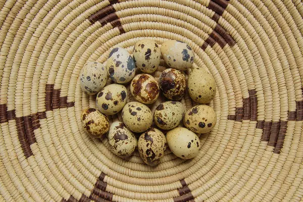 Bir Grup Taze Renkli Bıldırcın Yumurtası — Stok fotoğraf