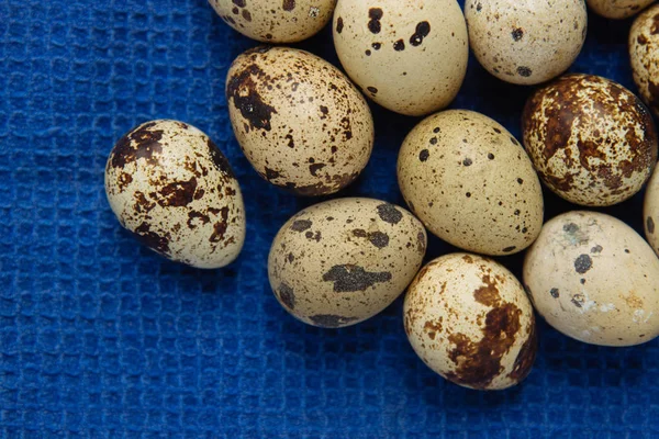 Mavi Bir Kumaş Üzerinde Birkaç Taze Renkli Bıldırcın Yumurtası — Stok fotoğraf