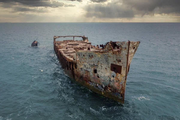 劇的な日没の前にカリブ海のバミューダ諸島の有名な神秘的なサポナ難破船 — ストック写真