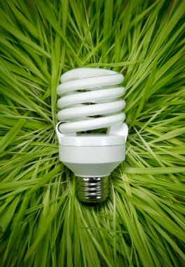 Bir enerji verimli Cfl oluşturma