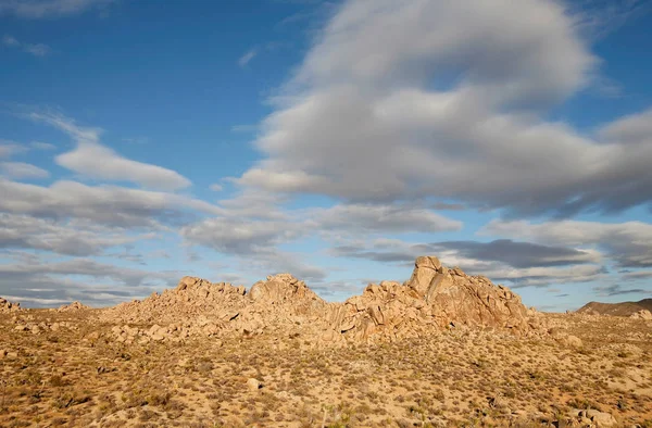 Die Felsige Wüstenlandschaft Des Joschua Baum Nationalparks — Stockfoto