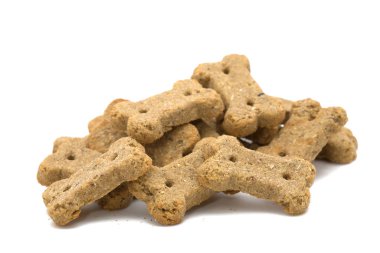 Köpekçik, beyazın üzerinde izole edilmiş kemik şeklinde tedavi eder.