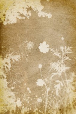 Pis sarı kağıtta çiçek izi var.