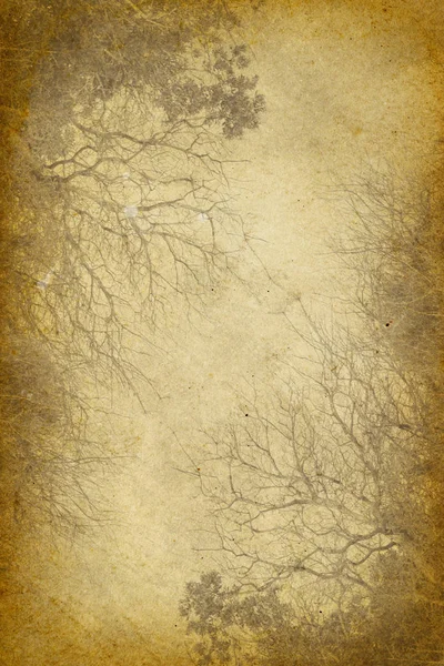 Grungy Yellow Paper Imprint Branches — Stock Photo, Image