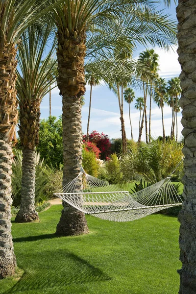 Eine Vintage Hängematte Einem Tropischen Garten Mit Palmen Und Blauem — Stockfoto