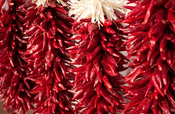 Набор Традиционных Красных Перцев Чили Распространенных Санта Юго Западе Соединенных Стоковое Фото