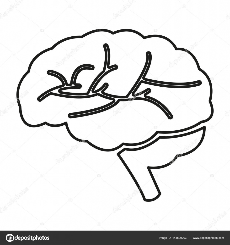 Simple brain icon — Stock Vector © AngBay #144509203