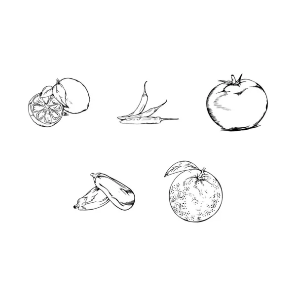 Collection Fruit Sketch Icon Vector — Stock Vector