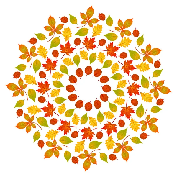 Vector colored round autumn leafy mandala - adult coloring book page — Stock Vector